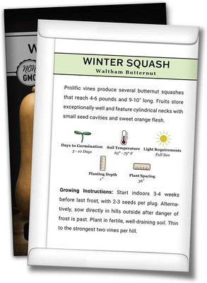 Biosnyg NDIR-38 Waltham Butternut Winter Squash Seed-[100 Seeds] Seed(100 per packet)