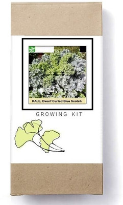 Biosnyg Dwarf Curled Blue Scotch Kale[500 Seeds] Seed(500 per packet)
