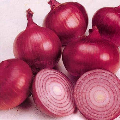 Qualtivate GBPT-3A Nasik Red Onion Seeds Seed(500 per packet)