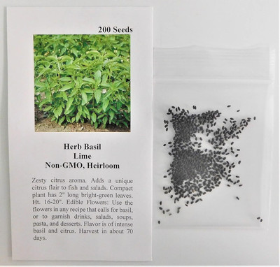 Qualtivate LX-54 Organic Lime Basil Seeds Seed(1000 per packet)