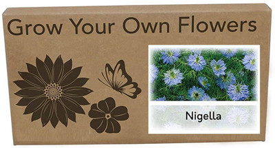 CYBEXIS Nigella Flower Seeds400 Seeds Seed(400 per packet)