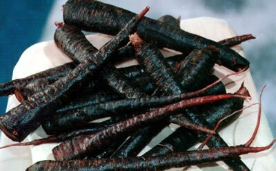 Mozette Organic black carrot Seed(25 per packet)
