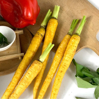 KNESSiN Carrot Seed(300 per packet)