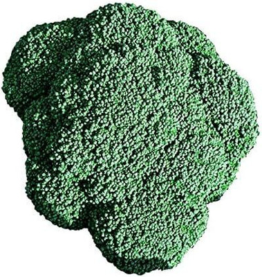 WILLVINE PUSA -XVI Broccoli Luna F1 Vegetable Seeds [25g] Seed(7500 per packet)