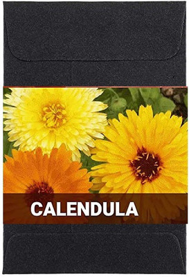CYBEXIS Calendula Flower Seeds100 Seeds Seed(100 per packet)