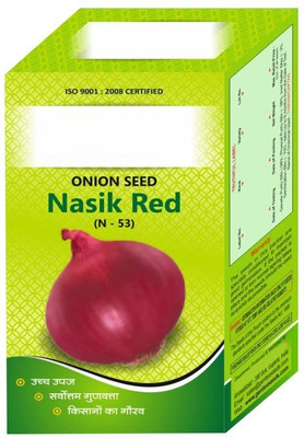WILLVINE PUAS -II ONION DESI TEJAS-57 SEED [100g] Seed(300 per packet)