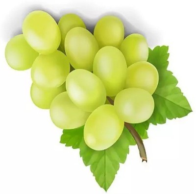 PASCLE Organic Green Grapes Seed(100 per packet)