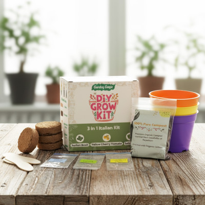 Garden Genie DIY Gardening Grow Kit | 3 Seeds: Italian Basil, Cherry Tomato & Lettuce Seed(1 per packet)