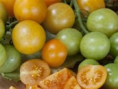 CYBEXIS Orange Berry Cherry Vegetable Tomato Seeds2000 Seeds Seed(2000 per packet)