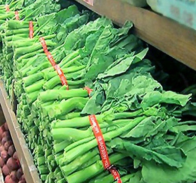 CYBEXIS CHINESE BROCCOLI500 Seeds Seed(500 per packet)