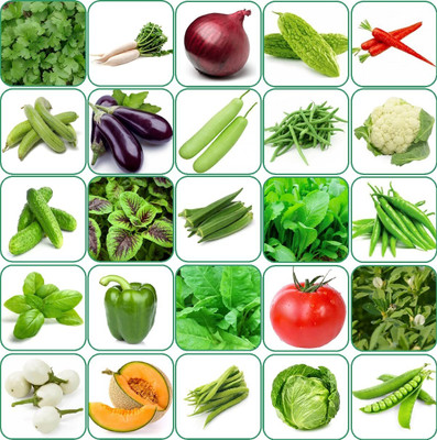 CRGO 25 Variety Of Vegetable Seeds Combo Pack With Instruction Manual Seed(3200 per packet)