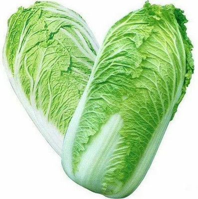 XOLDA Organic Chines cabbage Seed(33 per packet)