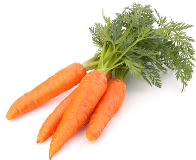 XOLDA Carrot Seed(41 per packet)