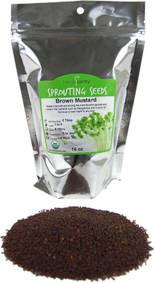 VibeX NBIR-93 - Organic Brown Mustard Sprouting - (250 Seeds) Seed(250 per packet)