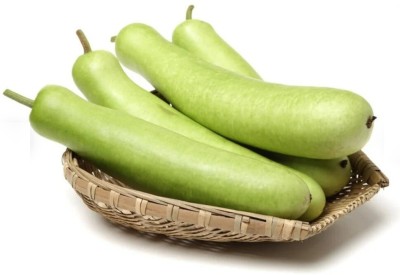 Avysa Long Bottle Gourd Seed(500 per packet)