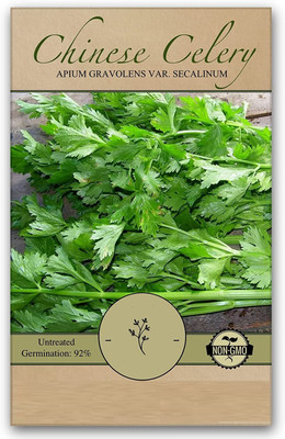 Qualtivate LX-267 Chinese Celery Seeds Seed(500 per packet)