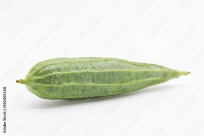 Paudhaa FI QUALITY RIDGE GOURD Seed(17 per packet)
