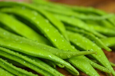 Oliver CLUSTER BEANS SEEDS Seed(11 per packet)
