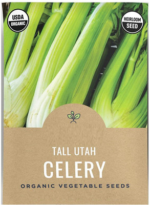 VibeX ® VLR-199 Tall Utah 52/70 Celery Seed(500 per packet)