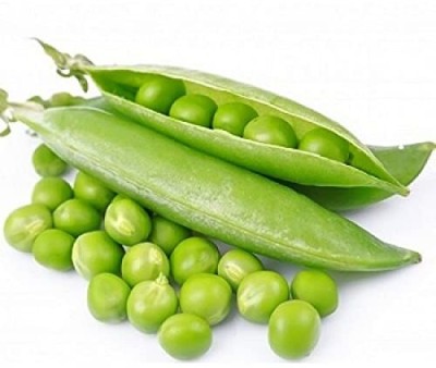 Lorvox Pea Half Pint (First Early) Seed(925 per packet)