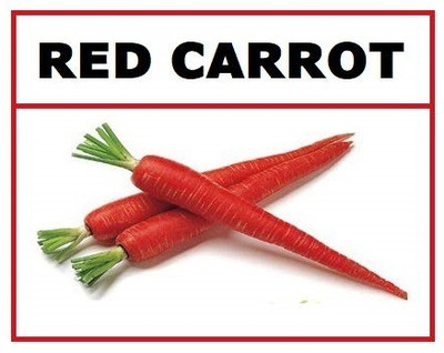 WILLVINE Organic Red Carrot Seeds-[5000 Seeds] Seed(5000 per packet)