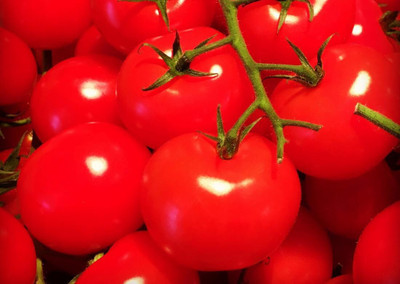 the green dotcom VNR Fresh Tamato Vegetable Hybrid Seed(2000 per packet)