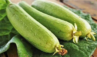 Biosnyg Emerald Smooth Sponge Gourd Summer Vegetable Seeds For Planting (1000 Seeds) Seed(1000 per packet)