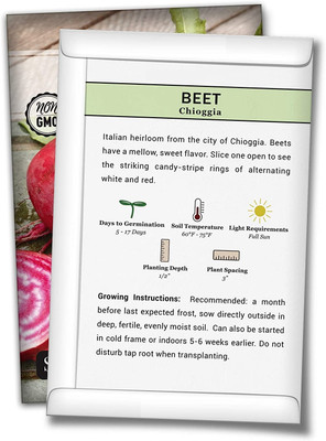 WILLVINE ® Chioggia Beetroot Seeds Seed(2500 per packet)