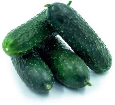 BDSresolve Armenian Cucumber Kakdi/cucumber seeds 22 Seed(22 per packet)
