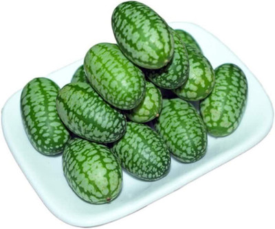CYBEXIS Mexican Sour Gherkins Seeds -250 Seeds Seed(250 per packet)