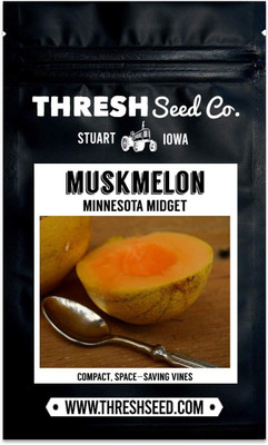 Qualtivate GBPT-1A Minnesota Midget Musk Melon Seed(200 per packet)