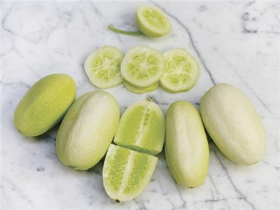 WILLVINE LX-463 Dragon Eggs White Cucumber Seeds Seed(200 per packet)