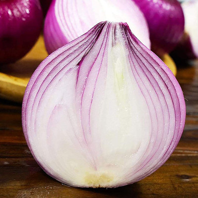 CYBEXIS F1 Hybrid Large Red Onion Seeds2000 Seeds Seed(2000 per packet)