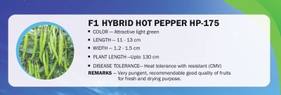VibeX F1 HYBRID HOT PEPPER/CHILLI HP-175(2500 Seeds) Seed(2500 per packet)
