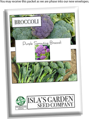 WILLVINE HUA -III Hybrid Purple Sprouting Broccoli Seeds [10g] Seed(3000 per packet)