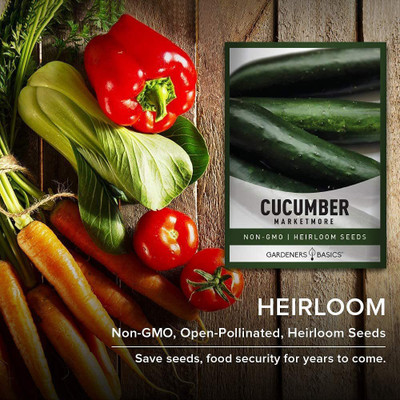 CYBEXIS NDIR-85 - Cucumber - Marketmore 79 - (150 Seeds) Seed(150 per packet)