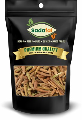 SADAFAL Indrajau Kadwa: Unlocking the Power of Holarrhena Pubescens for Optimal Health Seed(100 g)