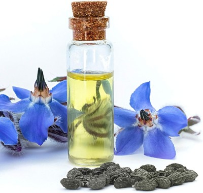 Qualtivate PAU-25 Borago Officinalis Blue Star Borage Seed(100 per packet)