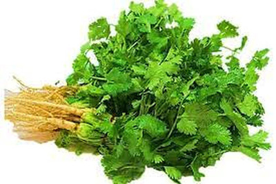 KANAYA dhaniya Seed(200 per packet)