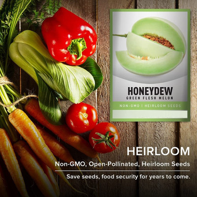 Biosnyg Musk Melon Honeydew-[800 Seeds] Seed(800 per packet)
