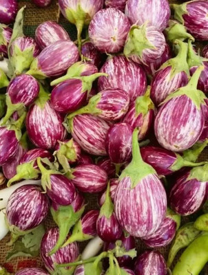 MAA Brinjal CVK, Brinjal Purple round, Eggplant Seed(290 per packet)