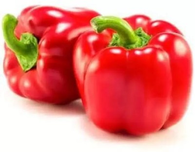 Aro Red Capsicum, Capsicum, Bell Pepper Seed(30 per packet)