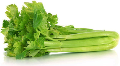 Qualtivate ATS-49 Giant Tendercrisp Celery Seeds Seed(500 per packet)