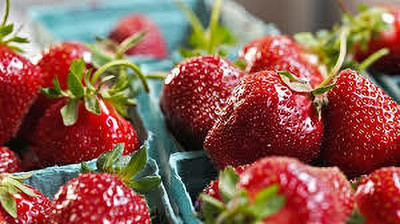 XOLDAA F1 HYBRID best quality strawberry fruit seeds Seed(41 per packet)