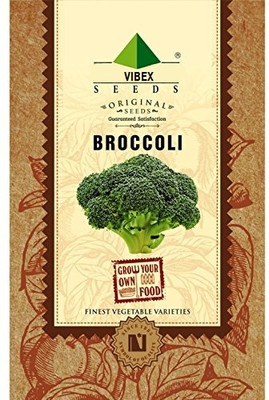 WILLVINE Broccoli Seeds Seed(2000 per packet)