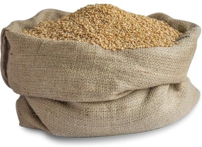 STOKIYA STOKIYA Wheat Seeds, DBW 303 , & Agriculture (Kheti ), Gehu Ka Bheej ( 15KG ) Seed(15 per packet)