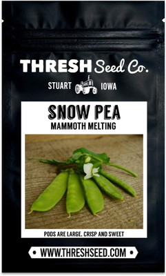 Qualtivate RES-5A Mammoth Melting Snow Pea Seed(200 per packet)