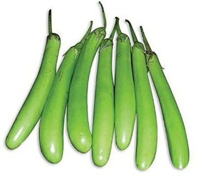 KANAYA Brinjal Green Long Seed(275 per packet)