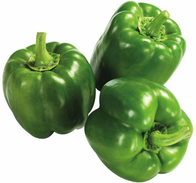 CYBEXIS Hybrid Capsicum Vegetable Seeds2400 Seeds Seed(2400 per packet)