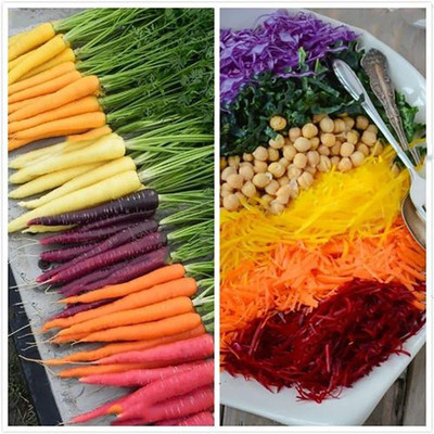 CYBEXIS High Germination Rainbow Carrot Seed1000 Seeds Seed(1000 per packet)